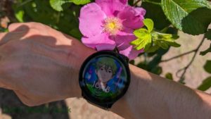 GarminVenu3とハマナス